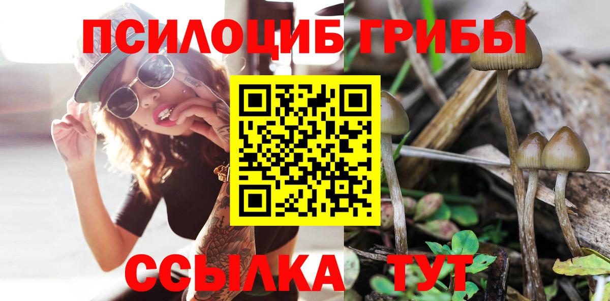 Псилоцибиновые грибы MAGIC MUSHROOMS  Галлюциногенные грибы Psilocybine cubensis  Вход с VPN  Костомукша 